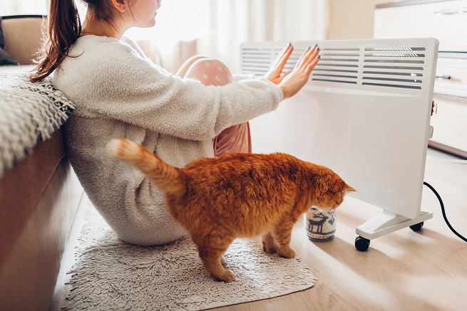 Electric heater keeping woman and cat warm
